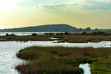 Sunset at the gialova lagoon. The gialova lagoon is one of the most important wetlands in Europe.