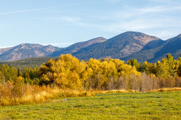 fall scene of brightly colored foliage and a farmer's field with mountains in the background near Whitefish, Montana