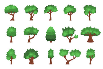 Set of Cartoon Trees Isolated Coniferous And Deciduous Plants on White Background. Forest And Garden Green Oak