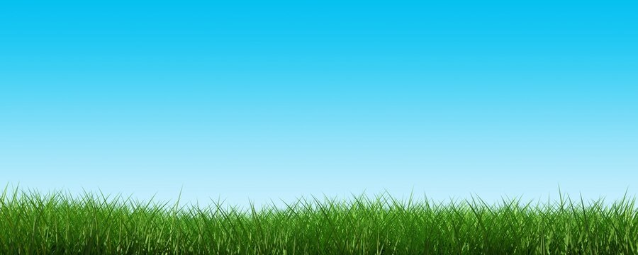 Green grass border or edge wide banner on clear blue sky background, ecology, spring or gardening template element