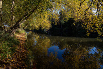 Colourful autumn trees reflected in water