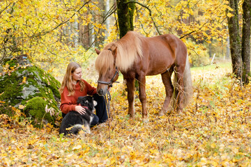 Young woman under yellow maple tree with Icelandic horse and Lapponian Herder in autumn scenery