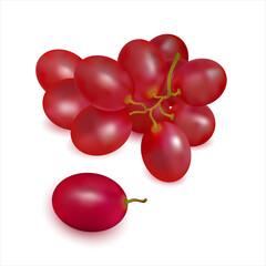 Ripe red grapes sprig close-up on white background. Cluster of fresh juicy grape. Wine grapes, table grapes. 3d realistic vector objects.