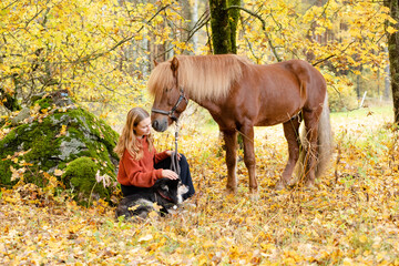 Young woman under yellow maple tree with Icelandic horse and Lapponian Herder in autumn scenery