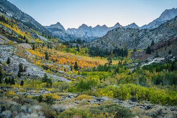 Fall Colors in Eastern Sierra California