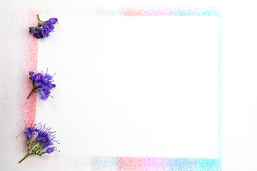 Caryopteris blue flowers