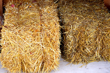 Two square bales of hay