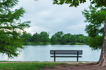 park bench by the lake