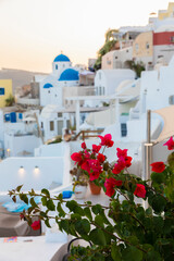 Bougainvillea and Greek stucco building in Fira village on Santorini