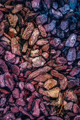 multicolored pieces of wood background