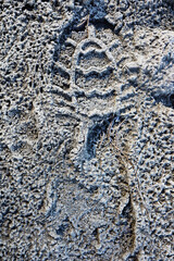 A footprint in the frozen ground
