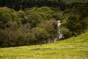 Rio do campo