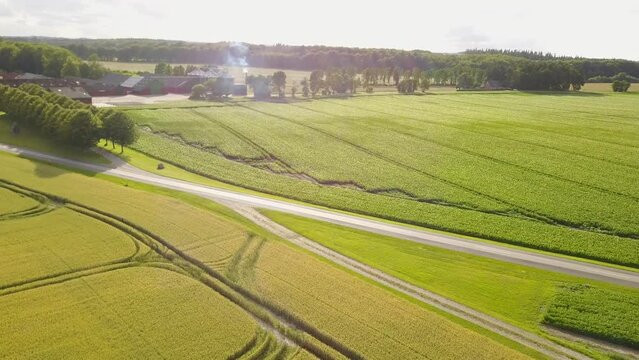 Aerial View Of Farmhouse, Farm Barn Near Farmland Field