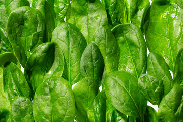 fresh spinach leaves