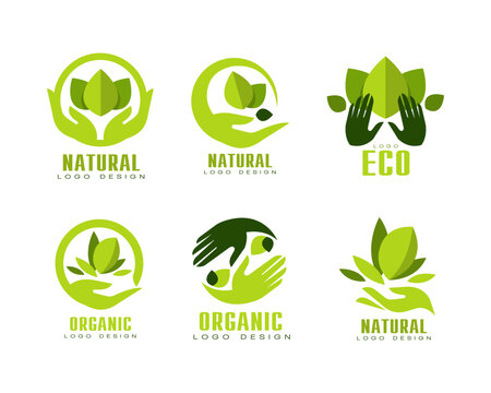 Organic and Eco Logo Design with Green Leaf and Hand Vector Set