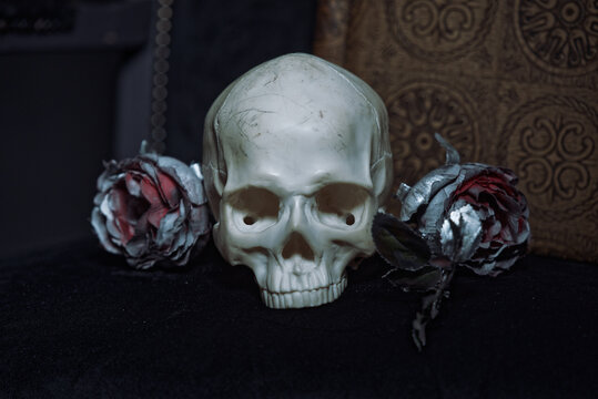 An old skull next to dead, silver rose flower, dark and horror halloween image