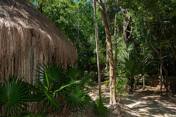 Traditional mayan hut in the mexican rainforest
