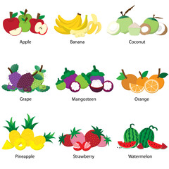 set of fruits icons concept with text, learning materials of fruits, fruits learning poster, creative design icon, vector illustration