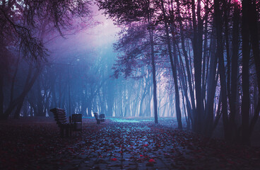 Strangers park. Mysterious fairy forest. Dark fantasy wallpaper. Stranger trees in the mist. Scary atmosphere. Mysterious road. Mystical forest in a fog. Dark scary park with leaves.