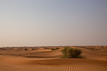 sand dunes in the desert