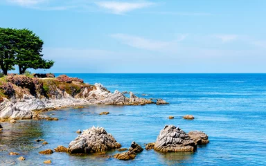 Foto op Plexiglas Monterey Bay, California with ocean and coast © Matthew Tighe