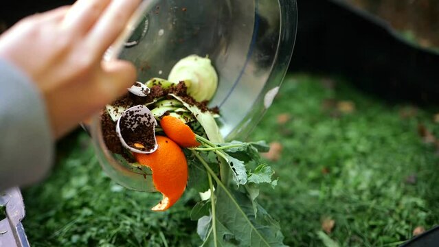 Compost organic. Food organic garbage is poured from a cup into a compost bin. 4k footage