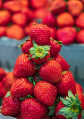 Harvest strawberries. Packing strawberries in boxes for sale. Fresh red strawberry berries in a local market.