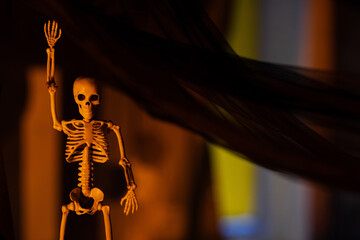 Fototapeta na wymiar Halloween party decoration. Close-up image of One horror skeleton with hand up hangs from the black cloth in a dark room at night.