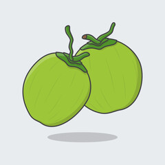 Coconut Cartoon Vector Illustration. Fresh Coconut Flat Icon Outline. Coconut