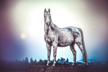 Illustration of a stylized white arabian horse in a night landscape in front of the moon