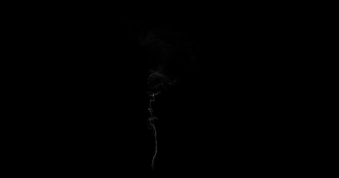 150Frames Cigarette smoke looping,seamless black background