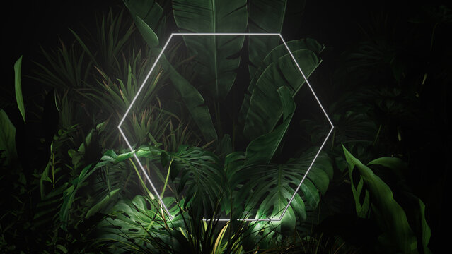 Tropical Plants Illuminated with White Fluorescent Light. Rainforest Environment with Hexagon shaped Neon Frame.