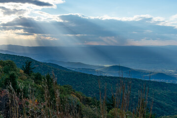 Sun rays fall onto the mountainsides of the Blue Ridge Mountains as seen from behind tall golden grasses off of Skyline Drive in Shenandoah National Park, Virginia.