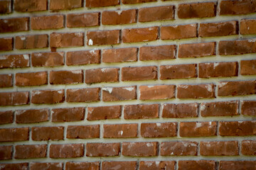 Pared de ladrillos a la vista