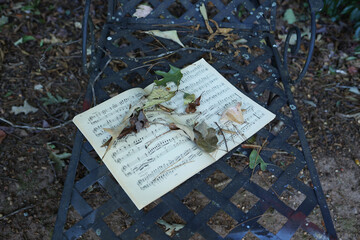 piano sheet music, vintage, abandoned, garden, old, antique, rusted, fall leaves., green