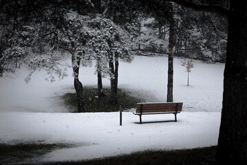 bench under snow