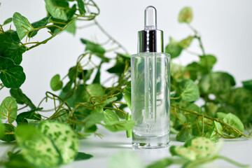 A perfume or essential oil glass bottle on a white background surrounded by green leafs