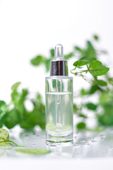 A perfume or essential oil glass bottle on a white background surrounded by green leafs - 538757456