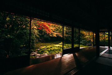 Fototapeta na wymiar 午後の京都の瑠璃光院の紅葉