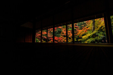 Fototapeta na wymiar 京都のお寺のお庭の紅葉と静寂