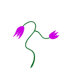 Fototapeta premium purple flower with green stem