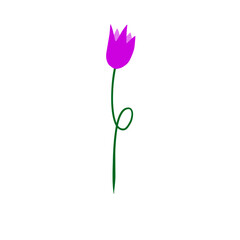 purple flower with green stem