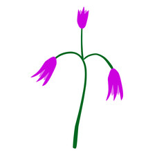 purple flower with green stem