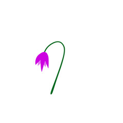 purple flower with green stem