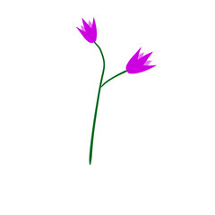 purple flower with green stem