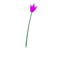 purple flower with green stem