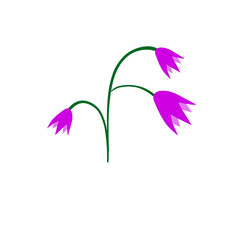 purple flower with green stem