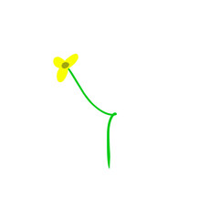 yellow flowers with green stems