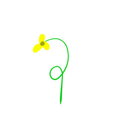 yellow flowers with green stems