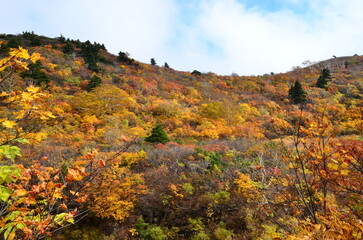 Mt Kurikoma is a volcano on the prefectural borders of Akita, Iwate and Miyagi. It is famous for having a wide range of mountain plants and amazing fall foliage. It is known as one of Japan&rsquo;s best Mt.